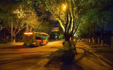 2024年我的除夕夜作文精选6篇