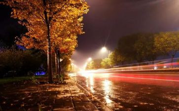 《静夜思》教案最新7篇