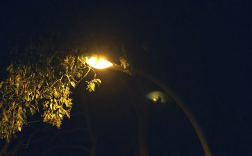 夜晚的雨作文400字8篇