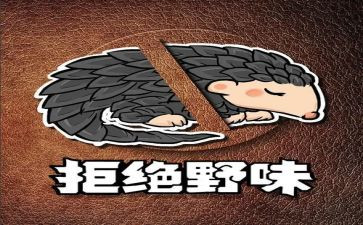 写拒绝野味的演讲稿精选8篇