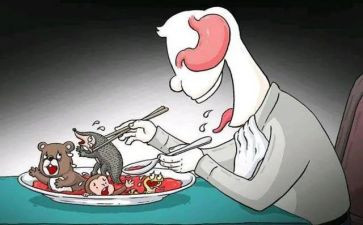 写拒绝野味的演讲稿8篇