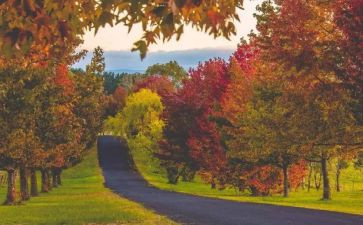 只差一步作文7篇