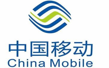 移动源工作总结5篇