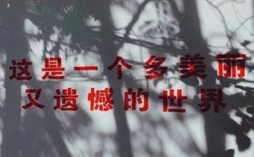 关于人生遗憾的作文6篇