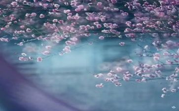 一季度工作述职报告5篇