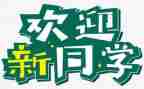 企业迎新活动方案6篇