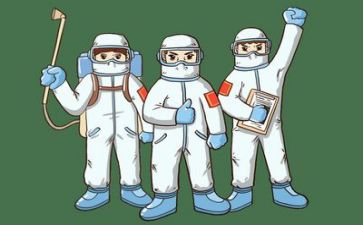 2024疫情半年度总结推荐5篇