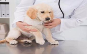 省医院个人总结优质5篇