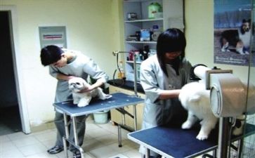 年终医院述职报告范文6篇
