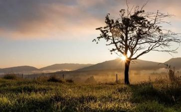 十一月总结最新8篇