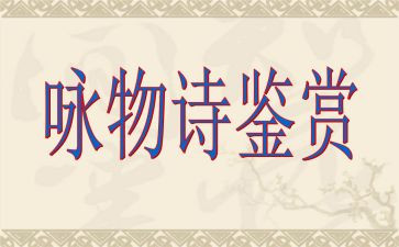 咏物的作文600字5篇