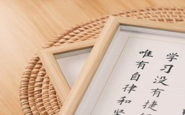 信息技术应用心得体会模板5篇