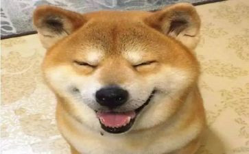 有趣的事三年级作文8篇
