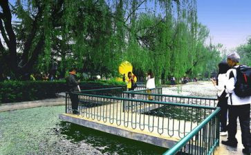 《游园》教案最新6篇