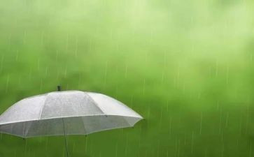 关于雨的高考满分作文通用8篇