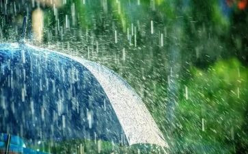 雨中的作文500字8篇
