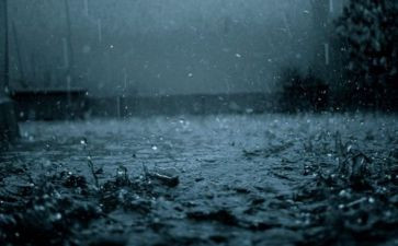 二年级写春雨的作文7篇