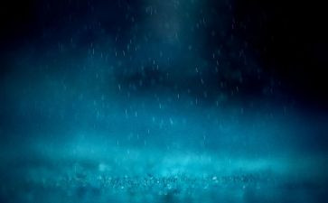 雨后的校园作文6篇