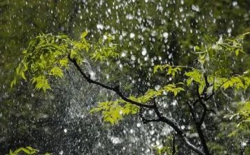 暴雨天作文精选6篇