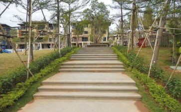 园建述职报告模板5篇