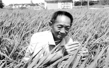 袁隆平的优秀作文推荐5篇