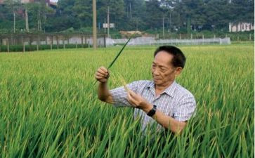 学袁隆平事迹心得体会5篇