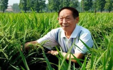 袁隆平的作文600字5篇