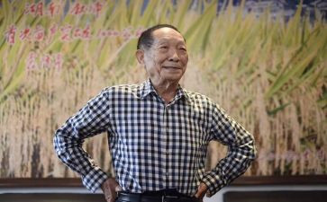 袁隆平事迹作文600字7篇