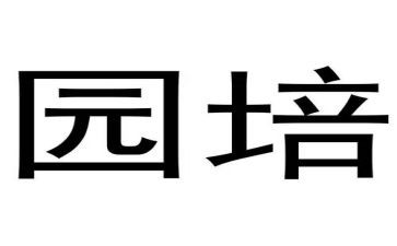 在幼儿园培训心得体会精选5篇