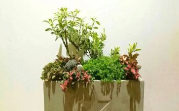 园艺业工作总结8篇