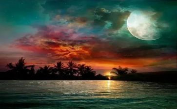 月下的你作文精选8篇