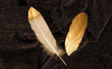 教羽毛球心得体会参考7篇