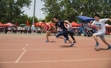 202奥运会观后感模板8篇