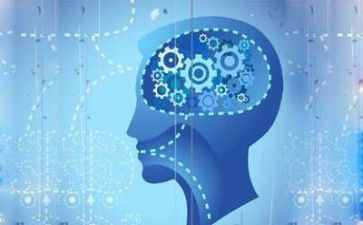 语言的调查报告5篇
