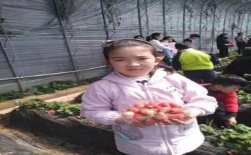 育子心得体会范文推荐5篇