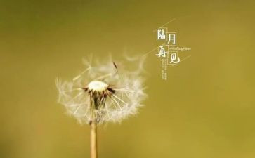 2024年再见作文600字精选6篇