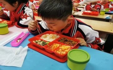 医学生在校工作总结5篇
