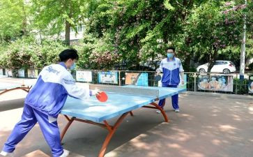 我在校园找春天作文500字5篇