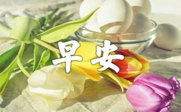 校园的早晨作文最新8篇