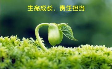 党责任述职报告5篇
