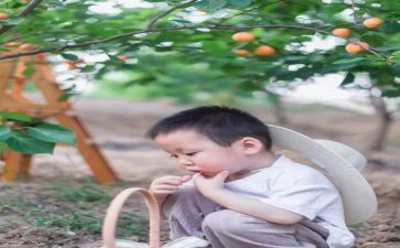 摘果子教案精选8篇