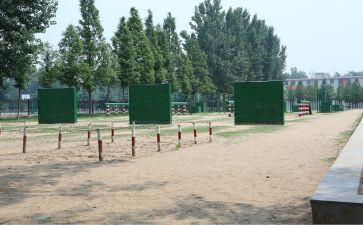 过障碍教学反思5篇