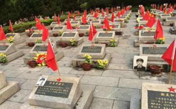 张从顺·张子权事迹6篇