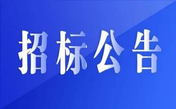 招标工作总结6篇
