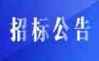 招标工作总结6篇