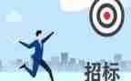 招标代理年终总结7篇