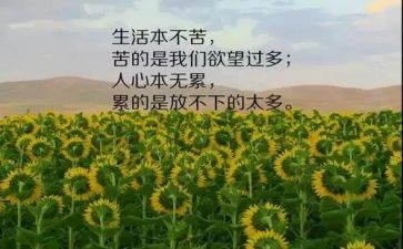 写人生哲理的作文优质5篇