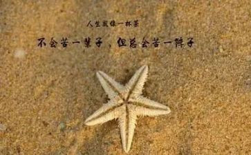 写人生哲理的作文5篇