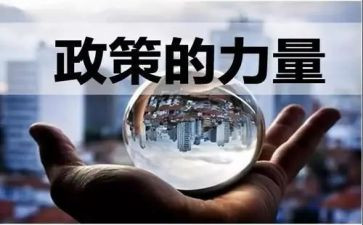 政策工作总结6篇