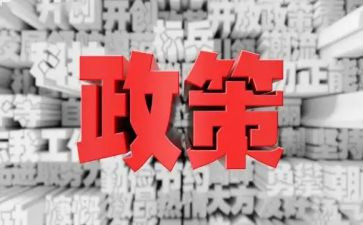 双减政策的心得最新8篇